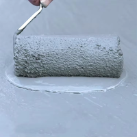 Revêtement imperméable à base de ciment JS à bas prix - Murs/sols intérieurs/extérieurs, écologique, inodore, anti-infiltration, résistant à l'humidité, durable