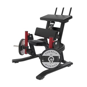 TOPTONS, venta al por mayor, equipo <span class=keywords><strong>de</strong></span> <span class=keywords><strong>gimnasio</strong></span>, máquinas cargadas <span class=keywords><strong>de</strong></span> placa <span class=keywords><strong>para</strong></span> culturismo, buen <span class=keywords><strong>precio</strong></span>, rizo <span class=keywords><strong>de</strong></span> bíceps/rizo <span class=keywords><strong>de</strong></span> brazo hecho <span class=keywords><strong>de</strong></span> acero - Product Image 5