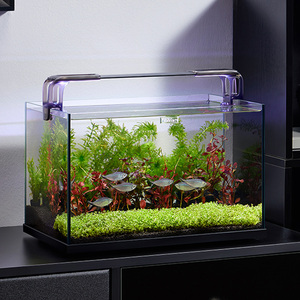 Yee Fabriek Groothandel Kleine Glazen Aquarium Aquarium Laag Ijzer Extra Helder Desktop Modern Aquarium Aquarium - Product Image 1