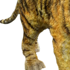 Ventes directes d'usine grand modèle d'animal de <span class=keywords><strong>dinosaure</strong></span> simulé son mobile pour l'affichage de rue de marche intérieur extérieur fabriqué - Product Image 2