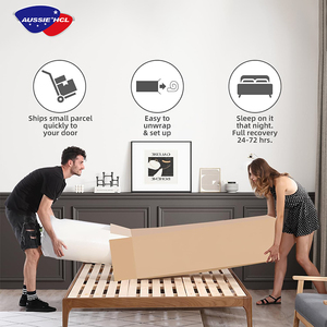 12 "sang trọng Euro Top nén khách sạn Nệm Bộ nhớ bọt Lai Túi mùa xuân nệm - Product Image 6