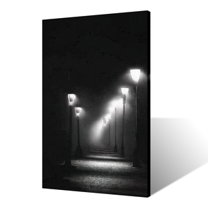 Hiện đại Thiết kế nội thất thân thiện với môi trường vải tường nghệ thuật đơn sắc cảnh quan đô thị đêm đường phố xem đèn bài bóng đen trắng - Product Image 1