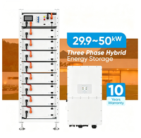 Convertisseur hybride triphasé 25kW 30kW 40kW 50kW IP65 avec batterie lithium 6000 cycles pour stockage d'énergie industriel