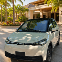 SUV Électrique Compact Personnalisable avec Entrée NFC, Audio Bluetooth, Prix de Gros Direct Usine