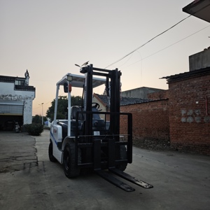 Used TCM FD30 3 Ton LPG Forklift Fwd Drive Nissan Engine Two Stage Mast Hydraulic Side Shifter Solid Tire 17km/h - Product Image 6
