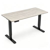 Bureau électrique moderne de haute qualité à hauteur réglable, élévateur fluide, écologique et portable pour un bureau ergonomique à domicile