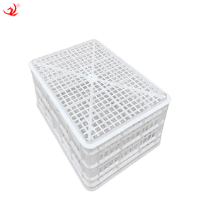 <span class=keywords><strong>Cajas</strong></span> <span class=keywords><strong>de</strong></span> plástico reciclables para almacenamiento <span class=keywords><strong>de</strong></span> verduras y frutas Caja <span class=keywords><strong>de</strong></span> rotación para agricultura utilizada para almacenamiento - Product Image 3