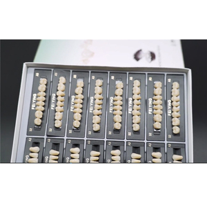 Dents en Résine Acrylique <span class=keywords><strong>Artificielle</strong></span> Bi-Couche OEM pour Prothèse <span class=keywords><strong>Dentaire</strong></span> - Product Image 6