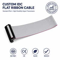 Kabel Pita Datar Kustom Pabrik Rakitan Kabel IDC Konektor Multi Pin untuk Peralatan Elektronik PCB Industri
