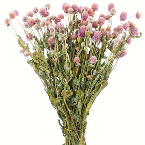Fleurs d'amarante globe séchées naturelles, boutons de marié roses préservés pour la décoration intérieure, les mariages, les arrangements floraux DIY - Product Image 3
