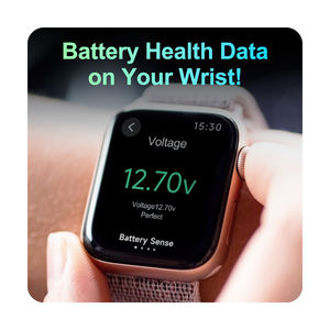 Echtzeit <span class=keywords><strong>12V</strong></span> 24V 48V Batteriespannungs-Überwachungsgerät für Fahrzeuge mit Mobiler App-Unterstützung für Mehrere Geräte - Product Image 3