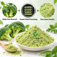 Poudre de brocoli lyophilisée Fruiterco, qualité alimentaire, poudre de légumes verts pour les boissons, les smoothies et la formulation alimentaire