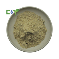 Poudre de Maca : Extrait de Maca 10:1 20:1, Fournisseur d'Usine, Extrait Végétal de Maca