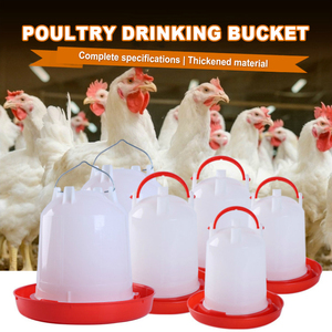 Hot Bán 3Kg 6Kg 9Kg Gà Trung Chuyển Tự Động Động Vật Ăn Gà Người Thức Ăn Và Trung Chuyển Trang Trại Thiết Bị Phổ Biến - Product Image 3