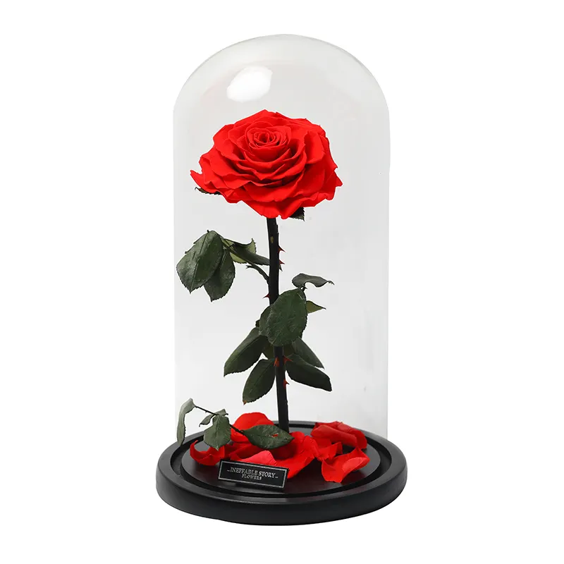 Glass dome decoration flower forever roses eternal flower stem rose large prince preserved rose in glass