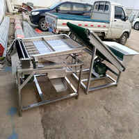 Machine à peler les pois edamame de haute qualité, machine à décortiquer les fèves vertes électrique en acier inoxydable, vente chaude