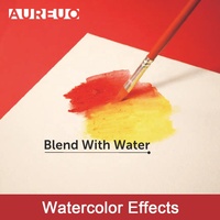 Aureo – peinture à l'huile à effet aquarelle 3D, 12 couleurs, 37ml