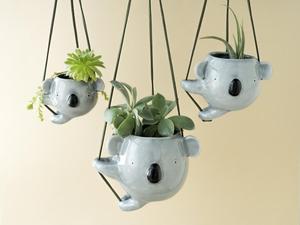 Planteur d'air Koala Forme D'escalade Koala <span class=keywords><strong>Jardinière</strong></span> Suspendue tenir Usines D'air ou Succulentes - Product Image 5