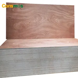 Hot Sale 18mm BB/CC Grade Sapele Pine Birch Okoume Veneer Commercial Hardwood Plywood Board