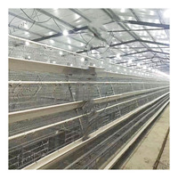 Cages à volailles entièrement automatiques à bas prix pour l'élevage avicole