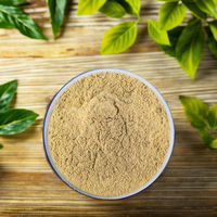 Poudre d'extrait d'hamamélis, extrait d'Hamamelis virginiana 10:1 20:1, soluble dans l'eau, pour complément alimentaire