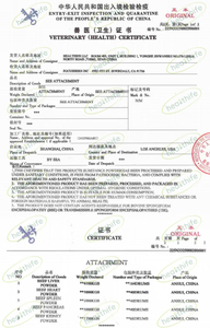 Healthife New Zealand grassfed đông khô bò thận bột thịt bò Organ Bột cỏ thức ăn thịt bò thận bột - Product Image 6