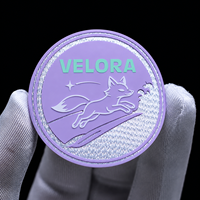 Écusson thermocollant personnalisé en silicone écologique avec logo pour vêtements, procédé de mousse, durable avec sequins pour vêtements