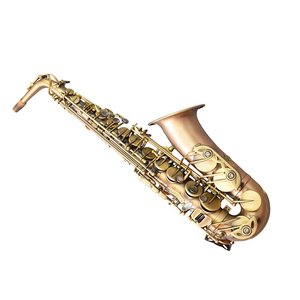 Saxophone alto professionnel en laiton doré, laque dorée, grand calibre, avec support et étui - Product Image 1