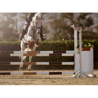 Produits de saut à cheval équestre avec logo personnalisé saut de barrière portable pour filles saut d'équitation avec trophées