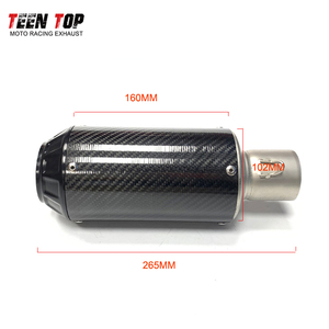 Silenciador de escape Universal de fibra de carbono de alta calidad para Benelli 752S BJ750GS para <span class=keywords><strong>Aprilia</strong></span> <span class=keywords><strong>RS660</strong></span>/Tuono660 Moto Escape - Product Image 4