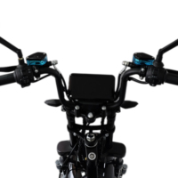 Moto électrique sportive et de rue 1000W sans balais, batterie 60V 20AH pour adultes - OEM/ODM, vitesse maximale 50KM/H