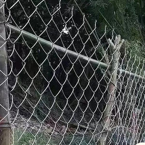 Grillage tissé sur mesure pour enclos de bétail, fermes avicoles et solutions d'élevage - Product Image 5