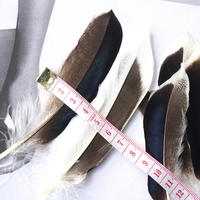 Masque en Plumes de Canard Naturelles Teintes de Haute Qualité, Douces, de 4 à 6 Pouces, avec Châle de Poignet et Ailes pour Spectacles de Danse et Fêtes de Carnaval