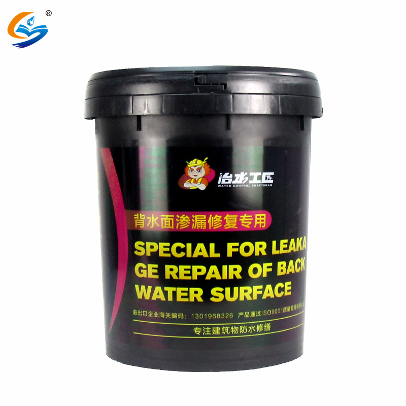 Water Leakage Repair Other Waterproofing Materials