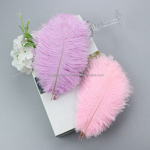 Vente en gros de plumes d'autruche pelucheuses teintes de 20 à 25cm pour l'artisanat et le mariage, vase de carnaval, décorations pour événements et fêtes - Product Image 5