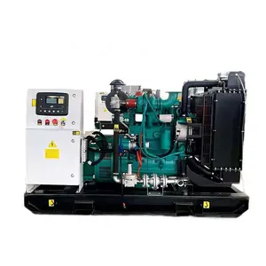 3 Phase High Efficiency Powered Liquid Cooled 50kW 100kW 150kW 200kW Biogas Generator Price With Cummins Engine