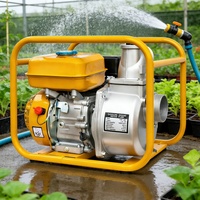 Pompe à eau domestique avec commande de fonctionnement sécurisée, sortie stable, haute efficacité, performance fiable pour l'alimentation en eau quotidienne