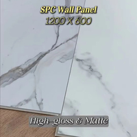 Panneau mural en PVC SPC imperméable rainuré sur tous les côtés, revêtement décoratif moderne pour l'intérieur et l'extérieur, idéal pour les hôtels et les salles de bain