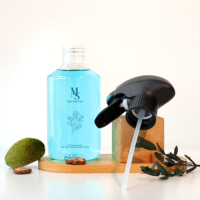 Bouteille pulvérisateur à gâchette en plastique PET ronde de 300 ml pour l'arrosage du jardin