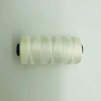 Ficelle en nylon 3 plis, ligne de maçonnerie, ligne de pêche, ligne pour le jardinage, la pêche, le camping et les outils de maçonnerie