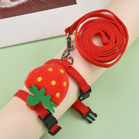 Konijnenkattenharnas-riemset Verstelbare gespsluiting Fruit Pluche ornament Huisdierriem Buiten wandelen Kleine dieren Fretten