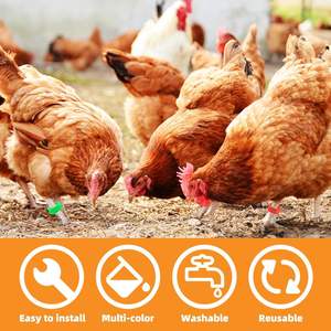 Anillas <span class=keywords><strong>de</strong></span> Identificación para Aves <span class=keywords><strong>de</strong></span> Corral, Multicolores y Numeradas, <span class=keywords><strong>de</strong></span> Plástico con Clip, para Pollos, Patos, Gansos y Pavos - Product Image 5