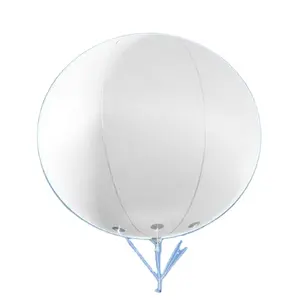 PVC 풍선 헬륨 하늘 풍선/대형 광고 헬륨 풍선/가벼운 헬륨 풍선