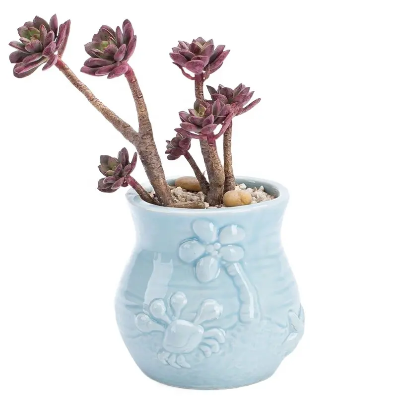 Penjualan terlaris pot bunga laut sukulen ornamen lucu kartun paus kerang tanaman sukulen pot bunga kecil