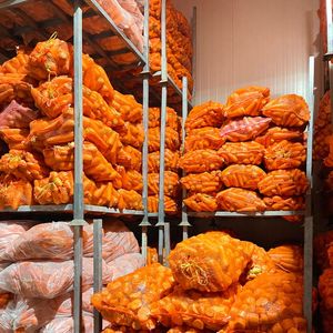 Vente en gros de carottes congelées du Vietnam avec un service après-vente de haute qualité et fiable OEM disponible - Product Image 4