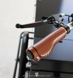 Vélo électrique néerlandais JG Gastro Coffee Bike Jus Vending Tricycle Beer Bike Vélo cargo électrique à trois roues Livraison rapide - Product Image 6