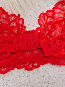 Red Floral Lace Bra and Thong <b>Set</b> Women's <b>Sexy</b> Lingerie Underwire Bralette With Embroidery Detailing Semi Sheer Intimates - Product Image 5