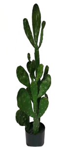 Hot bán giá rẻ trong nhà cây nhiệt đới nhỏ chậu cây sa mạc cây bonsai nhân tạo mọng nước cây xương rồng - Product Image 4