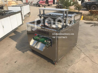 Eetbare Dadels Palmen Fruit Pitter Dadelzaad Verwijdermachine Machine
