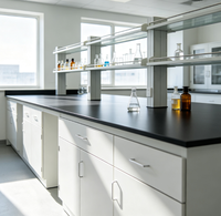 Banc de laboratoire en acier et bois à prix abordable, facile à nettoyer, avec étagères réglables pour institut de recherche
